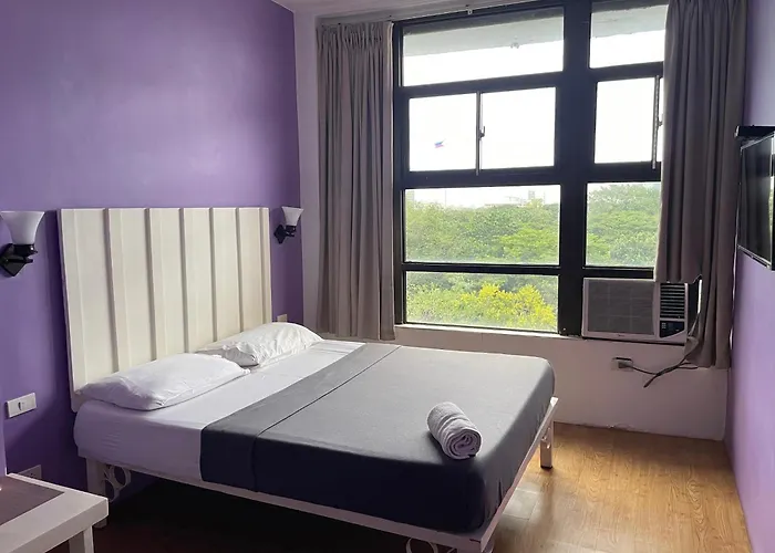 Auberge de jeunesse The Purple Tree *